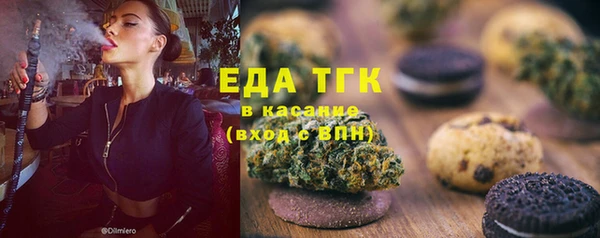 индика Приозерск