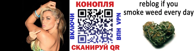 ОМГ ОМГ tor  Краснозаводск  Конопля OG Kush 